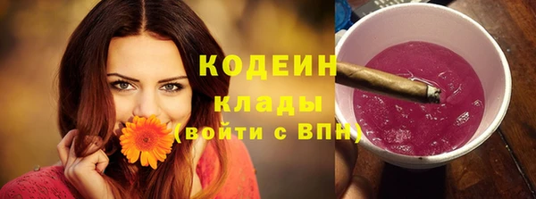 индика Верхний Тагил