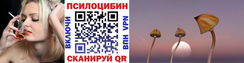 Купить  Осташков  Галлюциногенные грибы прущие грибы 